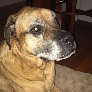 Meet your Posher, Justin